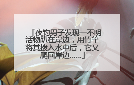 夜钓男子发现一不明活物趴在岸边，用竹竿将其拨入水中后，它又爬回岸边……
