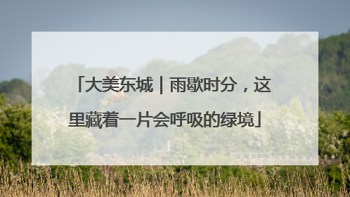 大美东城｜雨歇时分，这里藏着一片会呼吸的绿境