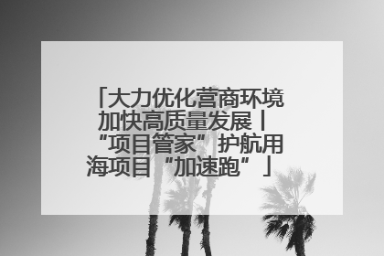 大力优化营商环境 加快高质量发展丨“项目管家”护航用海项目“加速跑”
