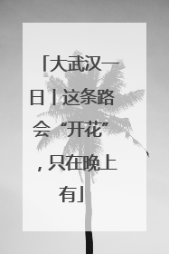 大武汉一日丨这条路会“开花”，只在晚上有