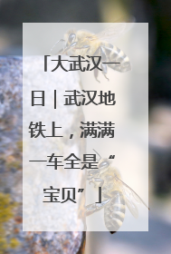大武汉一日｜武汉地铁上，满满一车全是“宝贝”