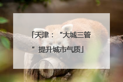 天津：“大城三管”提升城市气质