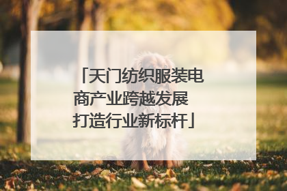天门纺织服装电商产业跨越发展 打造行业新标杆