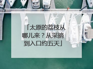 太原的荔枝从哪儿来？从采摘到入口约五天
