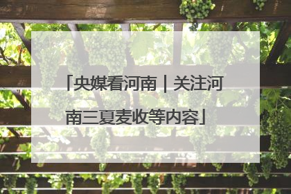 央媒看河南｜关注河南三夏麦收等内容
