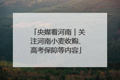 央媒看河南｜关注河南小麦收购、高考保障等内容