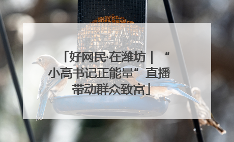 好网民·在潍坊｜“小高书记正能量”直播 带动群众致富
