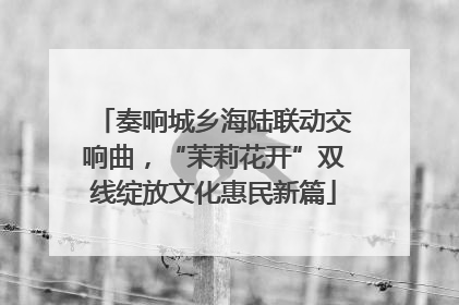 奏响城乡海陆联动交响曲，“茉莉花开”双线绽放文化惠民新篇