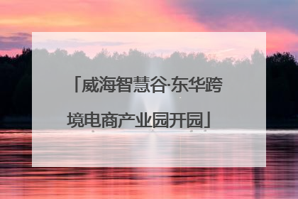 威海智慧谷·东华跨境电商产业园开园