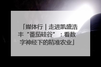 媒体行｜走进凯盛浩丰“番茄硅谷”：看数字神经下的精准农业