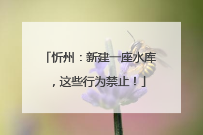 忻州：新建一座水库，这些行为禁止！