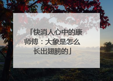 快消人心中的康师傅：大象是怎么长出翅膀的