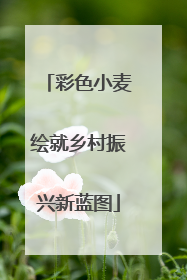 彩色小麦绘就乡村振兴新蓝图
