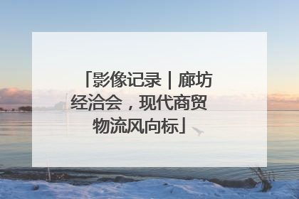 影像记录｜廊坊经洽会，现代商贸物流风向标
