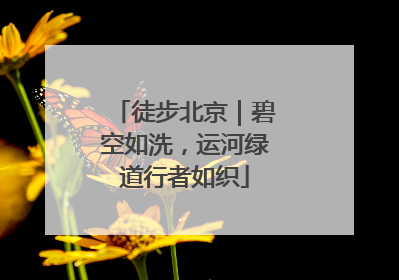 徒步北京｜碧空如洗，运河绿道行者如织
