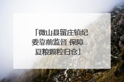 微山县留庄镇纪委靠前监督 保障夏粮颗粒归仓