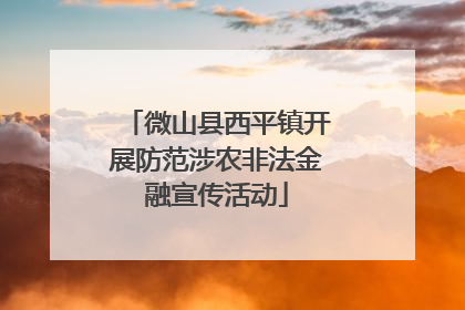 微山县西平镇开展防范涉农非法金融宣传活动