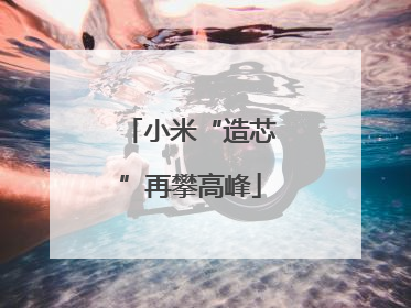 小米“造芯”再攀高峰