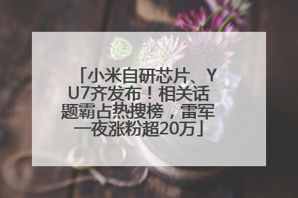 小米自研芯片、YU7齐发布！相关话题霸占热搜榜，雷军一夜涨粉超20万