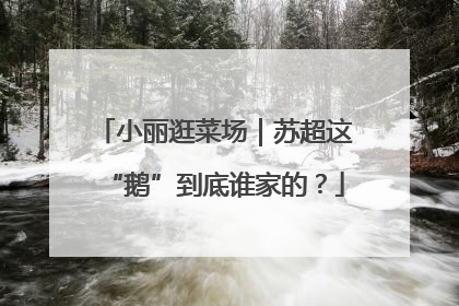 小丽逛菜场｜苏超这“鹅”到底谁家的？