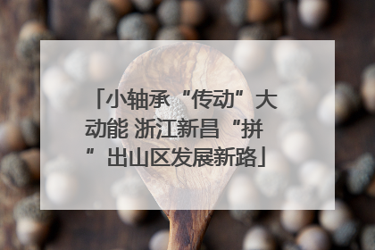 小轴承“传动”大动能 浙江新昌“拼”出山区发展新路