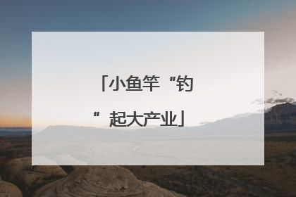 小鱼竿“钓”起大产业