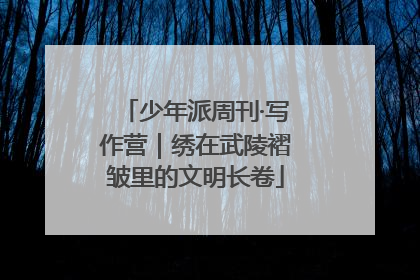 少年派周刊·写作营｜绣在武陵褶皱里的文明长卷