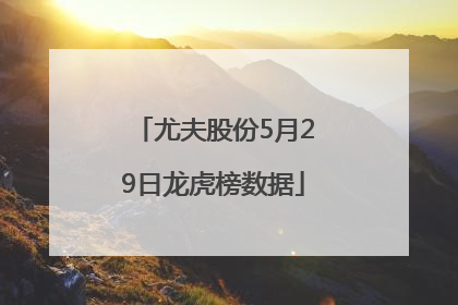 尤夫股份5月29日龙虎榜数据