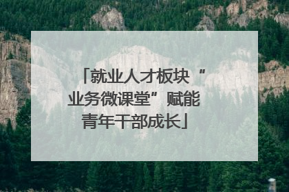 就业人才板块“业务微课堂”赋能青年干部成长
