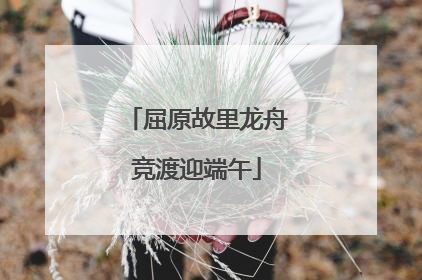 屈原故里龙舟竞渡迎端午