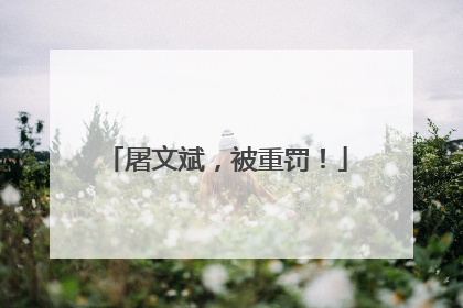 屠文斌，被重罚！
