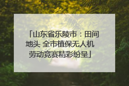 山东省乐陵市：田间地头 全市植保无人机劳动竞赛精彩纷呈