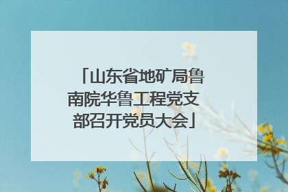 山东省地矿局鲁南院华鲁工程党支部召开党员大会