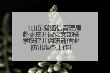 山东省通信管理局赴枣庄开展党支部联学联建并调研通信业防汛准备工作