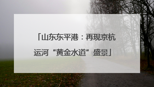 山东东平港：再现京杭运河“黄金水道”盛景
