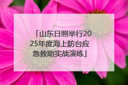 山东日照举行2025年度海上防台应急救助实战演练
