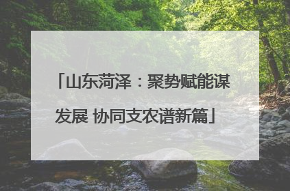 山东菏泽：聚势赋能谋发展 协同支农谱新篇