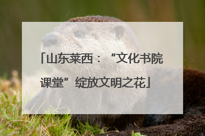 山东莱西：“文化书院课堂”绽放文明之花