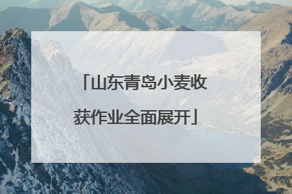 山东青岛小麦收获作业全面展开
