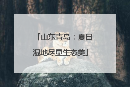 山东青岛：夏日湿地尽显生态美