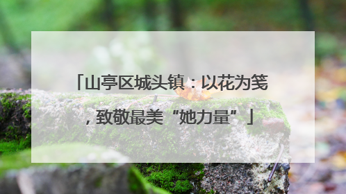 山亭区城头镇：以花为笺，致敬最美“她力量”
