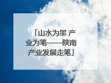山水为墨 产业为笔——陕南产业发展走笔