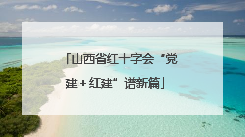 山西省红十字会“党建＋红建”谱新篇