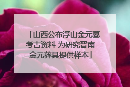 山西公布浮山金元墓考古资料 为研究晋南金元葬具提供样本