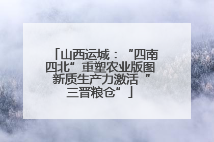 山西运城：“四南四北”重塑农业版图 新质生产力激活“三晋粮仓”