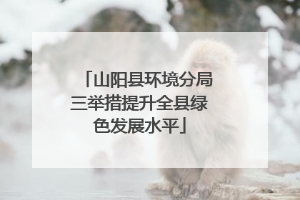 山阳县环境分局三举措提升全县绿色发展水平
