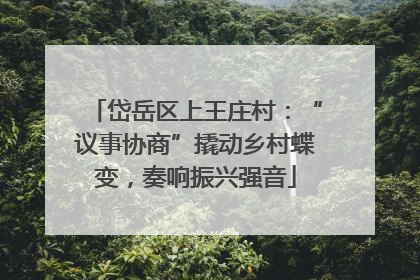 岱岳区上王庄村：“议事协商”撬动乡村蝶变，奏响振兴强音