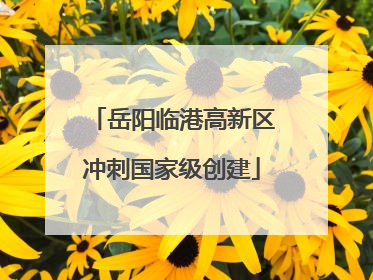 岳阳临港高新区冲刺国家级创建