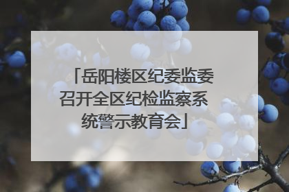 岳阳楼区纪委监委召开全区纪检监察系统警示教育会