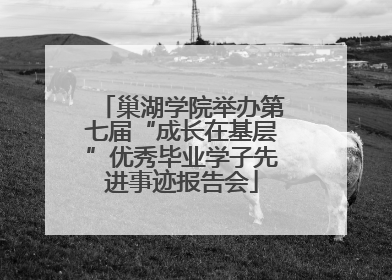 巢湖学院举办第七届“成长在基层”优秀毕业学子先进事迹报告会